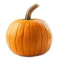 Load image into Gallery viewer, Pumpkin