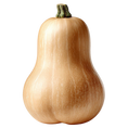 Load image into Gallery viewer, Squash