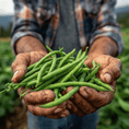 Load image into Gallery viewer, Beans