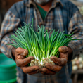 Load image into Gallery viewer, Green Onions