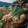 Load image into Gallery viewer, Green Onions