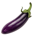 Load image into Gallery viewer, Egg Plants