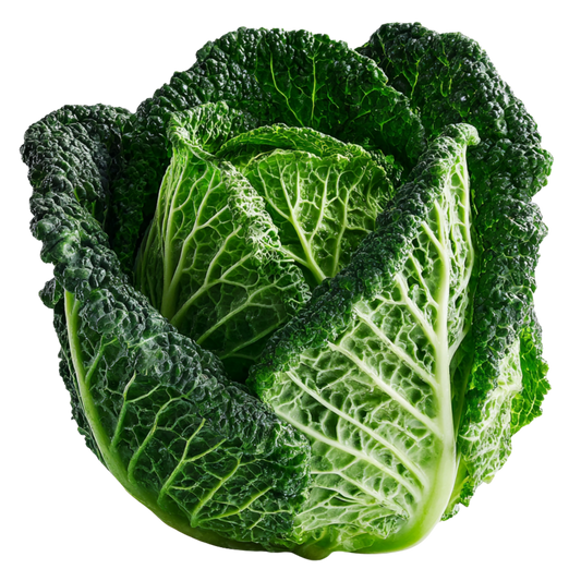 Savoy Cabbage